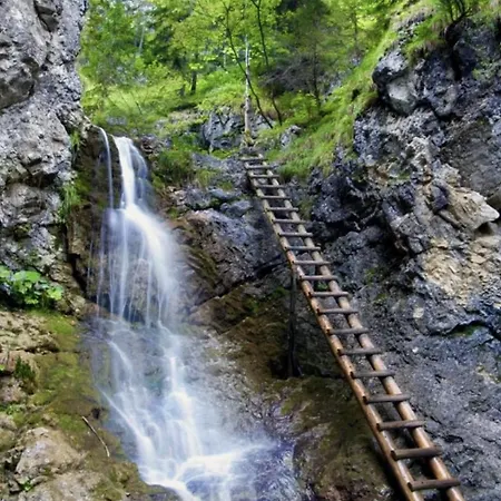 Apartment Drevenica Matajka